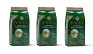 Kit 3 Erva Mate Colonial Yacuy 500g