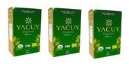 Kit 3 Erva Mate Orgânica Yacuy 500g