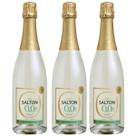 Kit 3 Espumante Gaseificado Salton Moscato Zero Alcool 750ml