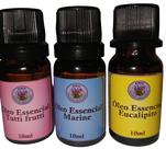 Kit 3 Essências 10ml: Tutti Frutti, Marine, Eucalipto para Relaxar, Focar e Purificar