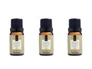 Kit 3 Essências Alecrim Silvestre - 10Ml Via Aroma