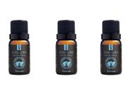 Kit 3 Essências Bora Bora/Flor De Hibisco - 10Ml Via Aroma