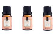 Kit 3 Essências Flor De Pitanga - 10Ml Via Aroma
