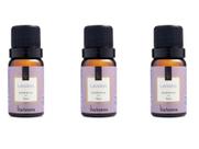 Kit 3 Essências Lavanda 10 ml Via Aroma