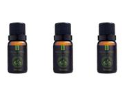 Kit 3 Essências Machu Picchu/ Folhas Do Vale-10Ml Via Aroma