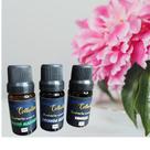 Kit 3 Essências Notas Sensuais para Aromatizador