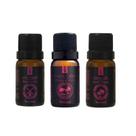 Kit 3 Essencias Via Aroma - Linha Mundo Top 3