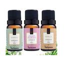 Kit 3 Essencias Via Aroma Para Aromatizador Difusor Eletrico10ml (Bamboo+Lavanda Francesa+Vanilla) Kit 3 Essencias Via Aroma Para Aromatizador Difusor Eletrico10ml (Bamboo+Lavanda Francesa+Vanilla)