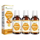 Kit 3 Extrato de Própolis Gotas 30ml Flora Nativa