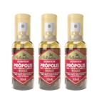 Kit 3 Extrato de Própolis Verde Mel Menta Romã Spray 35mL Bellabelha Kit 3 Extrato de Própolis Verde Mel Menta Romã Spray 35mL Bellabelha