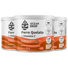Kit 3 Ferro Quelato Bisglicinato 60 caps 400mg - Ocean Drop