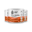 Kit 3 Ferro Quelato e Vit. C Ocean Drop 60 Cápsulas