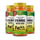 Kit 3 Ferro Quelato FE Unilife 60 Cápsulas