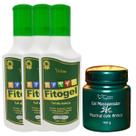 Kit 3 Fitogel Gel de Arnica Bélia 200g + Gel Mastruz com arnica