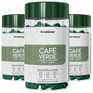 Kit 3 Frasco Extrato Café Verde Suplemento Alimentar Natural Coffee Green Natunéctar 180 Cápsulas Natural 100% Puro Original