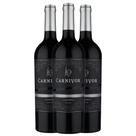 Kit 3 Garrafas Tinto Vinho Carnivor Zinfandel 750ml