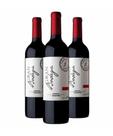 Kit 3 Garrafas Vinho Tinto Argentino Gran Bodega 750mL