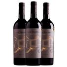Kit 3 Garrafas Vinho Tinto Casa Valduga Terroir Merlot 750ml Kit 3 Garrafas Vinho Tinto Casa Valduga Terroir Merlot 750ml