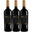 Kit 3 Garrafas Vinho Tinto Chile Kinast Family Wines Paso de Los Andes Carmenere 750ML Kit 3 Garrafas Vinho Tinto Chile Kinast Family Wines Paso de Los Andes Carmenere 750ML