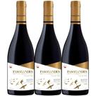 Kit 3 Garrafas Vinho Tinto Chile Kinast Family Wines Paso de Los Andes Pinot Noir 750ML Kit 3 Garrafas Vinho Tinto Chile Kinast Family Wines Paso de Los Andes Pinot Noir 750ML