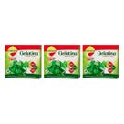 Kit 3 gelatina diet vit c plus limão com stevia 10g lowçucar