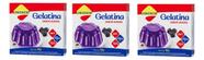 Kit 3 Gelatina Zero Açúcar Sabor Amora 10g Lowçucar