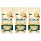 Kit 3 Gergelim Branco Natural em Grãos Vitalin 120g
