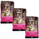 Kit 3 Granulados de Madeira Ipetwoods 2kg Areia Higiênica para Gatos