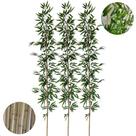 Kit 3 Hastes de Bambu Mosso Artificial 2 Metros Grande Decoração