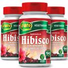 Kit 3 hibisco gengibre picolinato de cromo 90 comp unilife