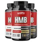 Kit 3 HMB Unilife 60 Comprimidos 1000mg Kit 3 HMB Unilife 60 Comprimidos 1000mg