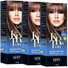 Kit 3 Keraton Tonalizante Banho De Brilho Castanha - Kert