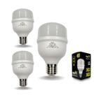 Kit 3 lâmpadas Bulbo Led 20w frio 6500k