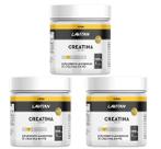 Kit 3 Lavitan Creatina Em Pó 300g + 1 Dosador - Cimed Kit 3 Lavitan Creatina Em Pó 300g + 1 Dosador - Cimed