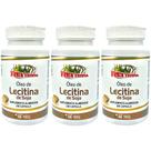 Kit 3 Lecitina de Soja 700mg 180 Cápsulas - Rei Terra