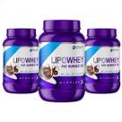 Kit 3 Lipo Whey Fat Burner 3W Premium 900g Myoplex