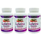 Kit 3 Luteína E Zeaxantina 500mg 360 cápsulas - Rei Terra