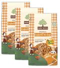 kit 3 Mãe Terra Granola Castanha De Caju Amigos Do Bem 400G