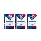 Kit 3 Mag Plus 6 Alto Teor De Magnésio 60 Cápsulas Herbamed