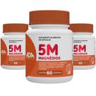 Kit 3 Magnésio 5M Puro Quelato Malato Taurato Bisglicitano Óxido Suplemento Alimentar 180 Cápsulas