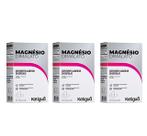 Kit 3 Magnesio 60 Cápsulas - Katigua