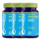 Kit 3 Malato De Magnésio Suplemento Alimentar 60 Cápsulas