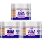 Kit 3 Mascara Juba Hidro Nutritiva Widi Care Hidratação Nutrição Cabelo Vegano 500g