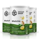 Kit 3 Matchá Chá Verde em Pó Ocean Drop Limão e Gengibre Kit 3 Matchá Chá Verde em Pó Ocean Drop Limão e Gengibre