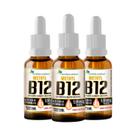 KIT 3 Metilcobalamina B12 Sublingual 20ml Flora Nativa
