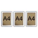Kit 3 Molduras Quadro Certificado Diploma A4 Com Fundo MDF