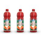 Kit 3 Molho de Pimenta 1,01L Picante Perfeito para Petiscos