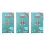 Kit 3 Msm Metilsulfonilmetano Dose Máxima 30 Caps - Katigua