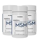 Kit 3 MSM Metilsulfonilmetano Em Pó Natunéctar 500mg 60 Cápsulas Sem Sabor