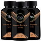 Kit 3 Mucuna Pruriens 120 Capsulas 500mg Ethos Nutrition